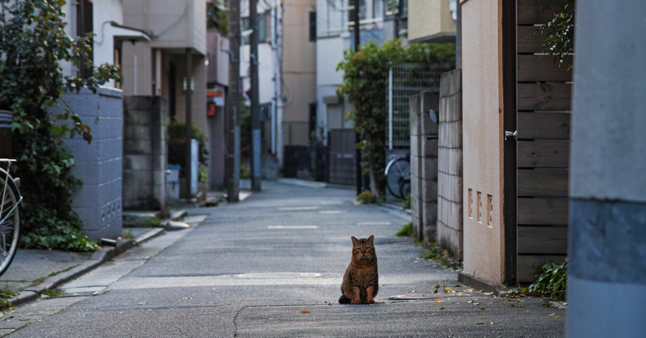 街の魅力