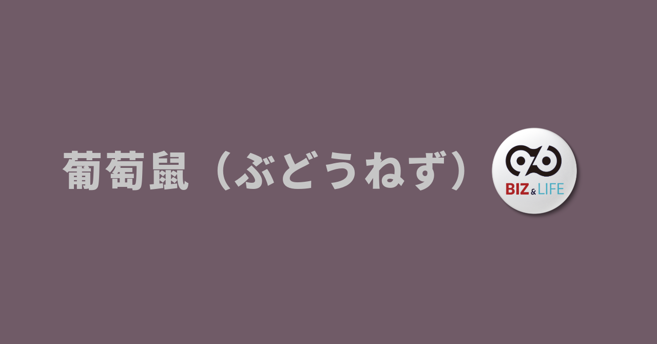 今月の葡萄鼠（ぶどうねず）は、夏の熱量を静かに収穫し、思考の解像度を究極まで高める「振り返り／問いの深まり」のくすみ紫色のイメージ